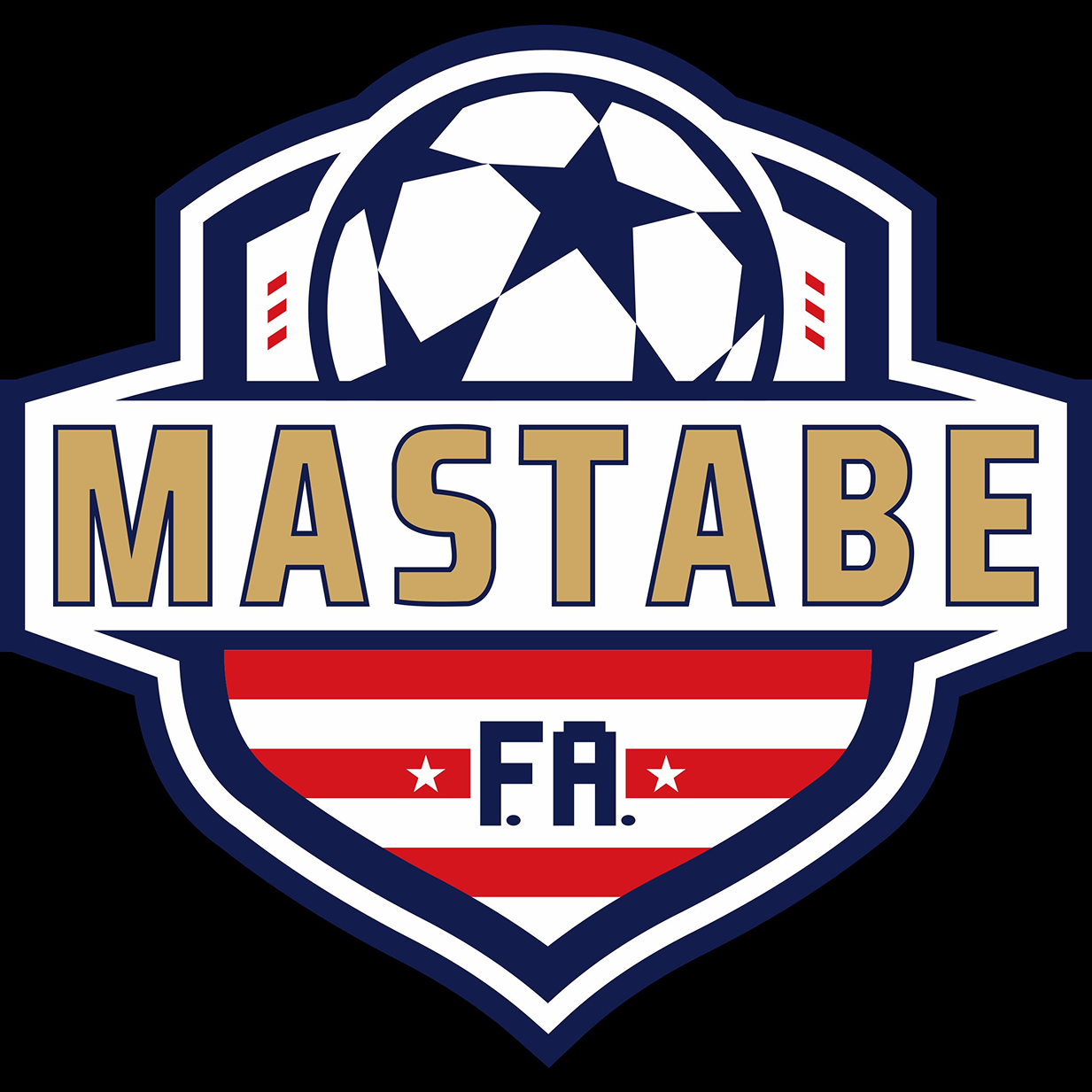 Team logo