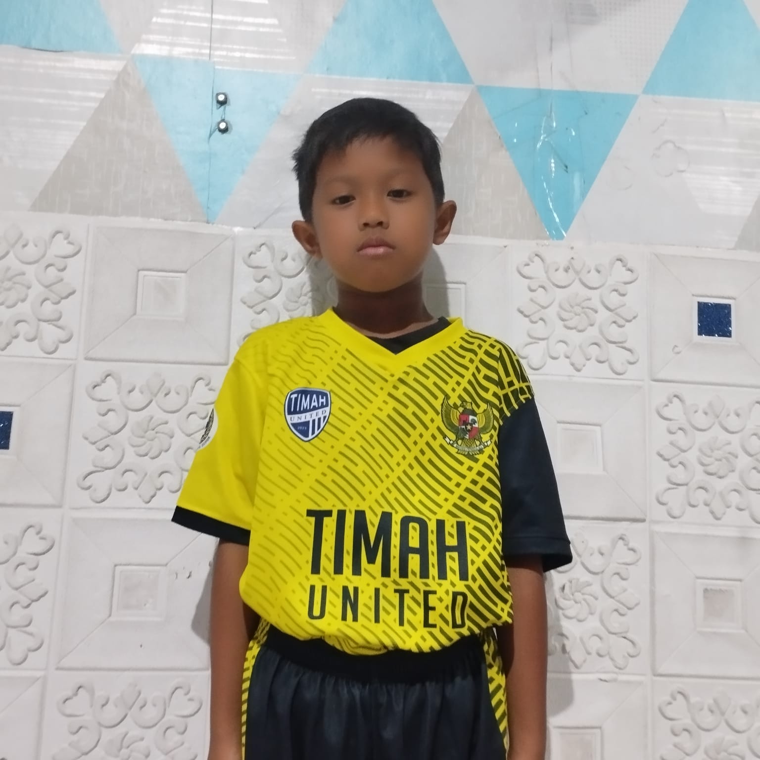 Muhammad Nizam Alfarizi