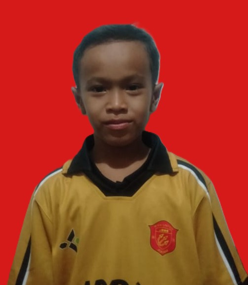 muhammad zlatan ibrahimovic